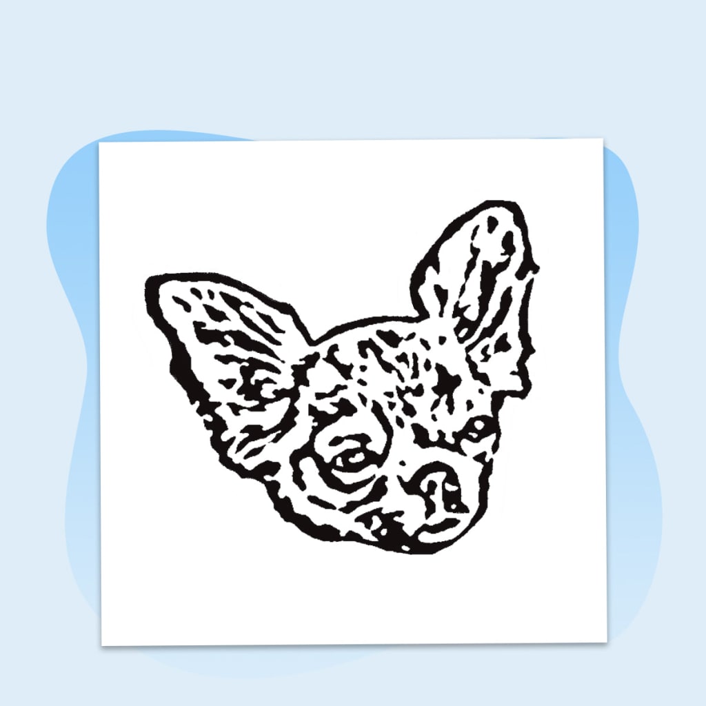 Pet Face Necklace Set