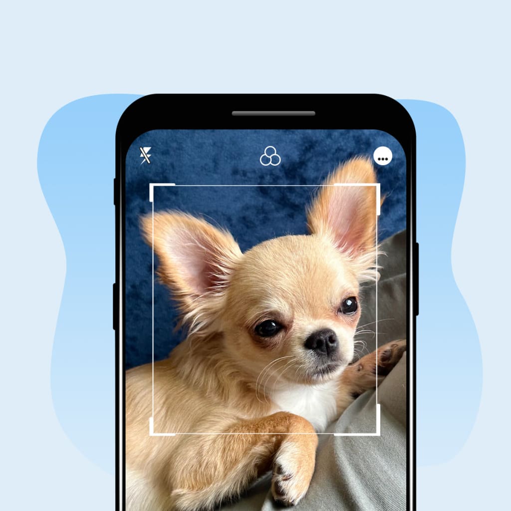 Pet Face Necklace Set